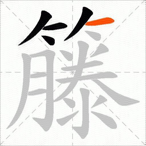 籐