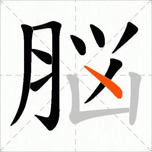 脳