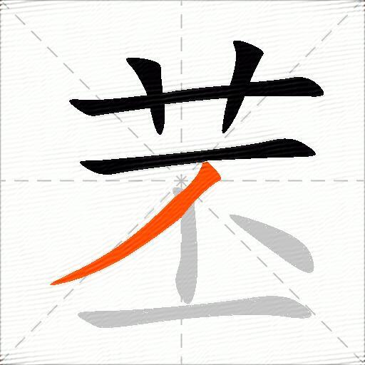 苤