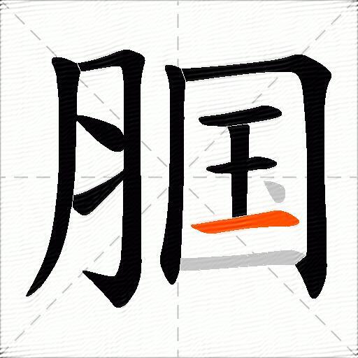 腘