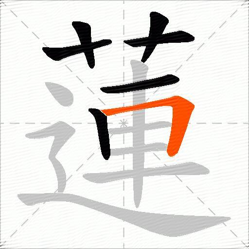 蓮