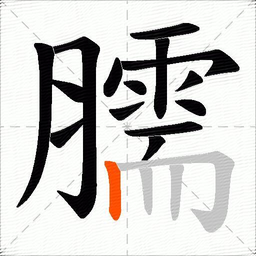 臑