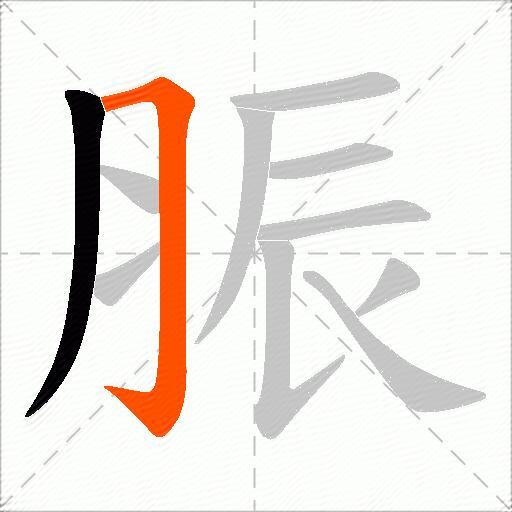 脤