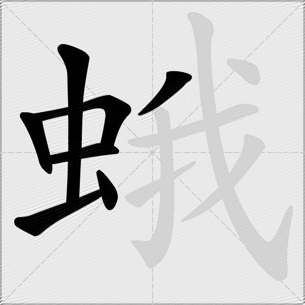 蛾