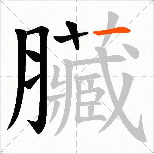 臟