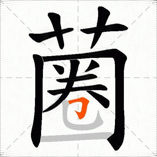 蔨