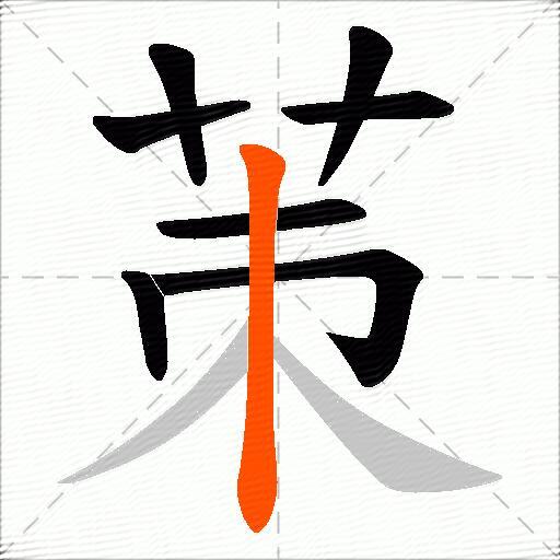 茦