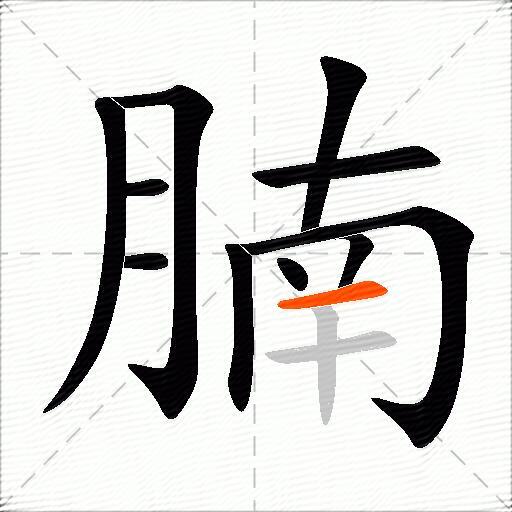 腩