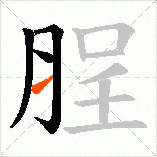 脭