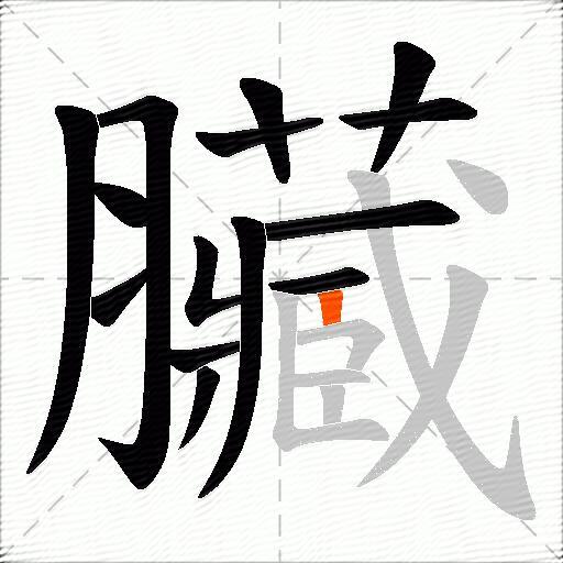 臟