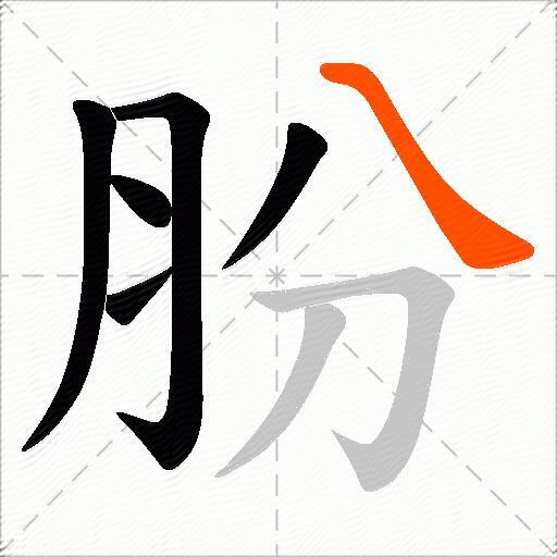 肦