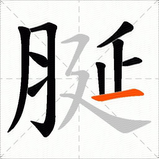 脠