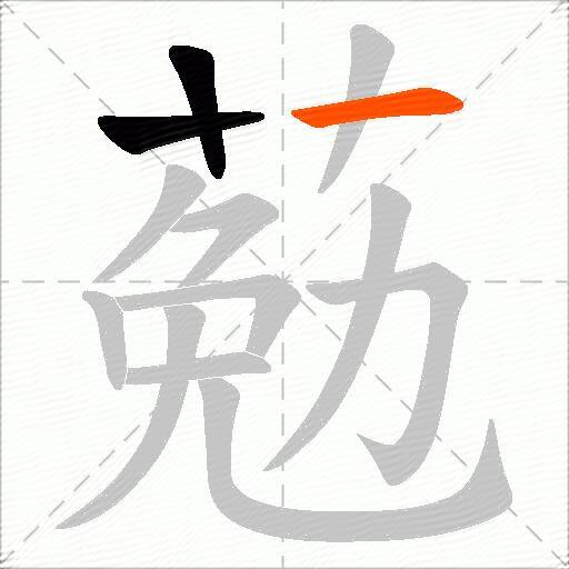 葂