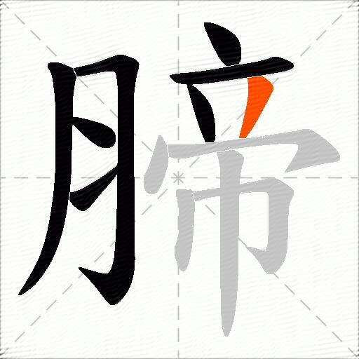 腣