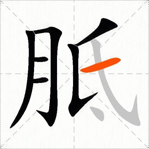 胝