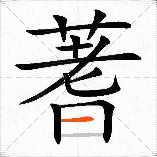 蓍