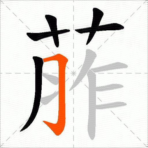 葄