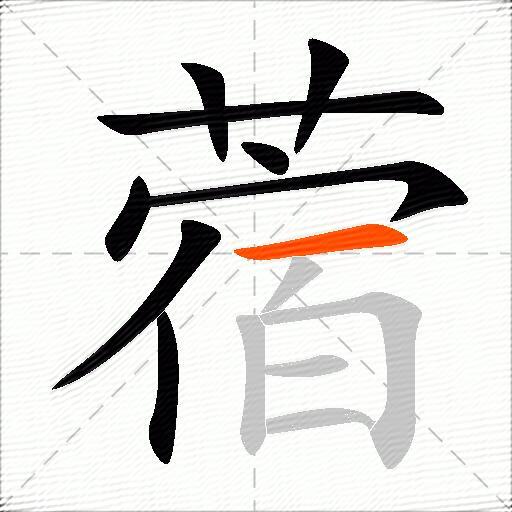 蓿