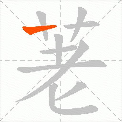 荖