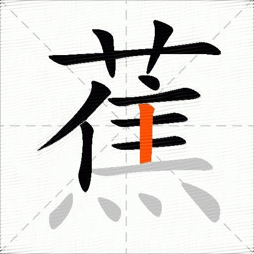 蕉