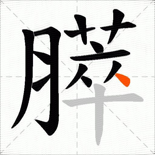 膵