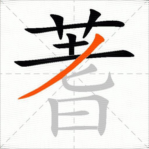 蓍
