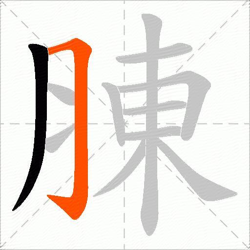 腖