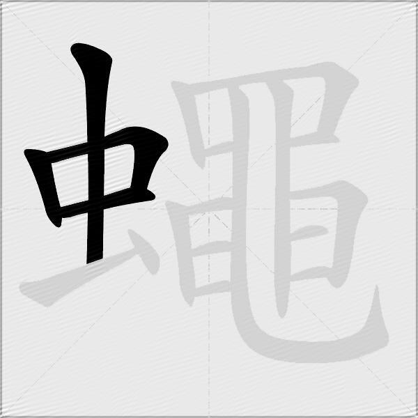 蠅