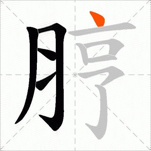 脝