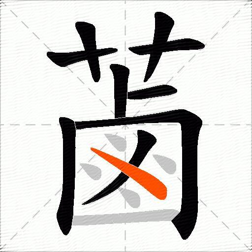 蓾