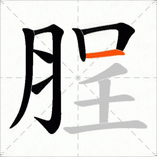 脭