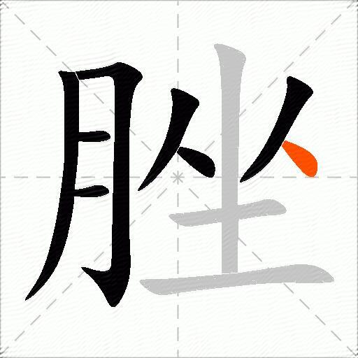 脞