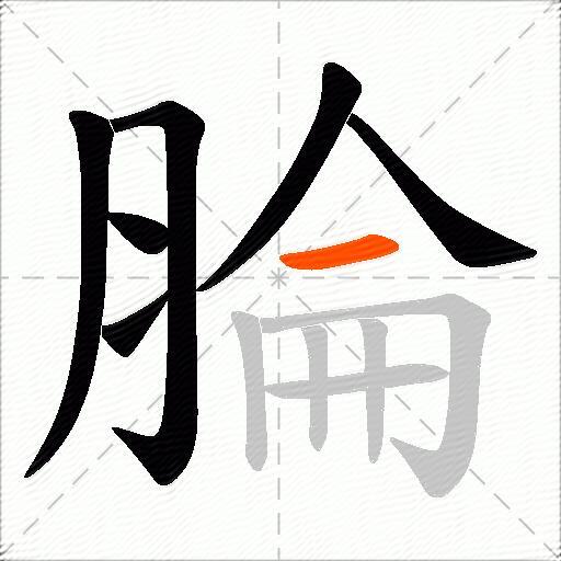 腀