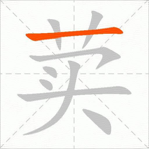 荬
