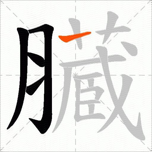 臓