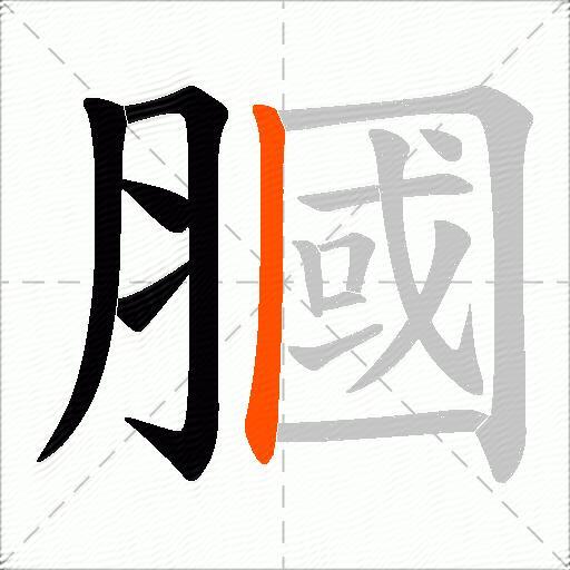 膕