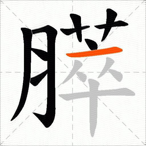 膵
