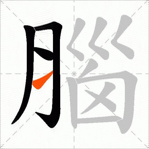 腦