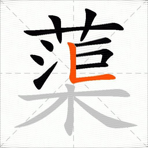 蕖