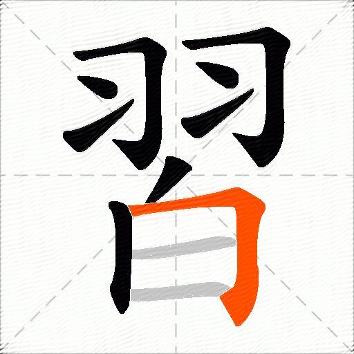 習