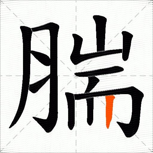 腨