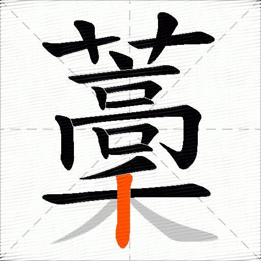 藳
