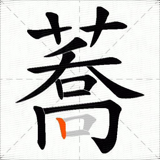 蕎
