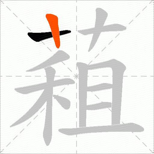 蒩