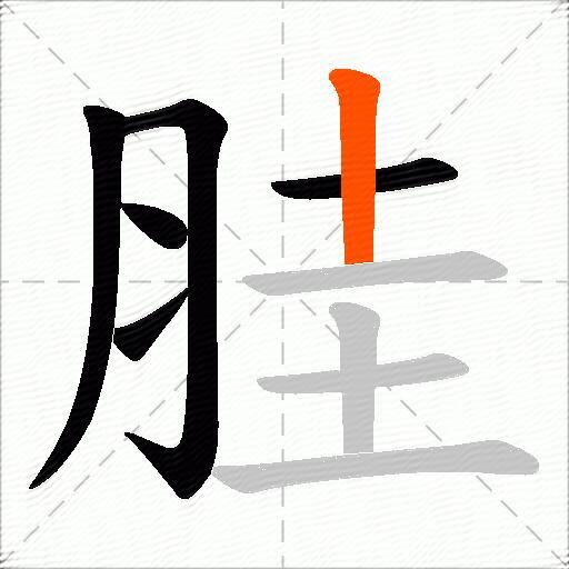 胿