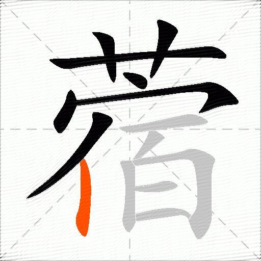 蓿