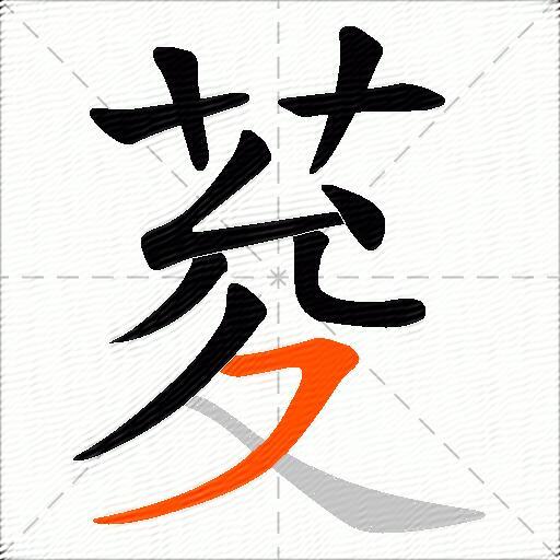 荾