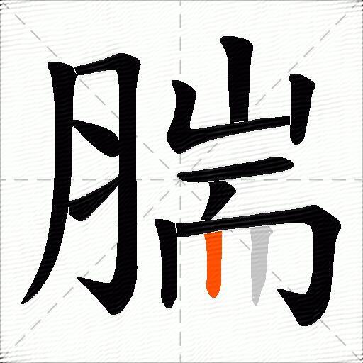 腨