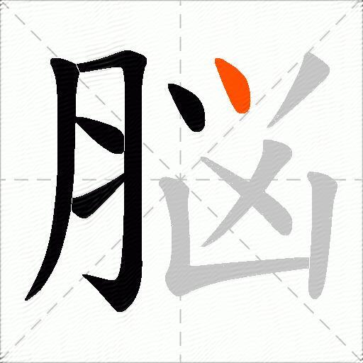 脳