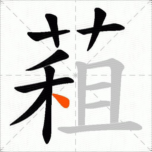 蒩